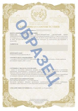 Образец Сертификат СТО 01.064.00220722.2-2020 Светлый Сертификат СТО 01.064.00220722.2-2020 